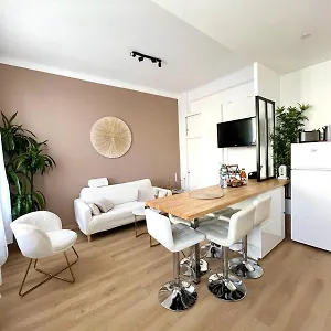 - T3 Renove De 50 M2 Classe 2 Etoiles , Nice France